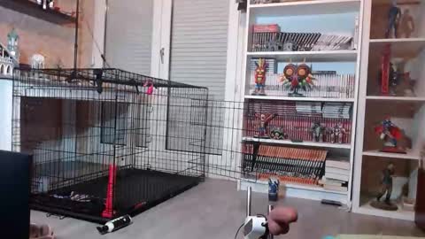 Owned by Hell On Heels online show from February 19, 2026, 7:10 pm