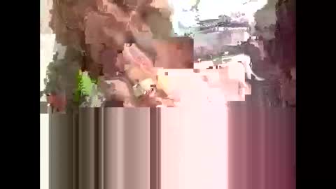 Kaitie Cummings online show from February 23, 2026, 6:49 pm