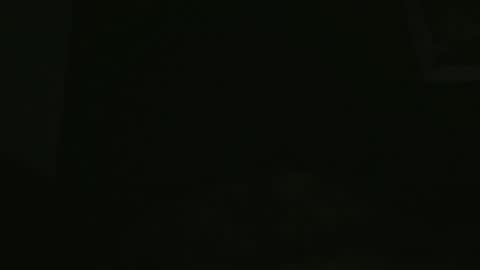 Snapshot of yourpersonalgeniusl chatting on December 2, 2024, 11:34 am yourpersonalgeniusl online show from December 2, 2024, 11:34 am