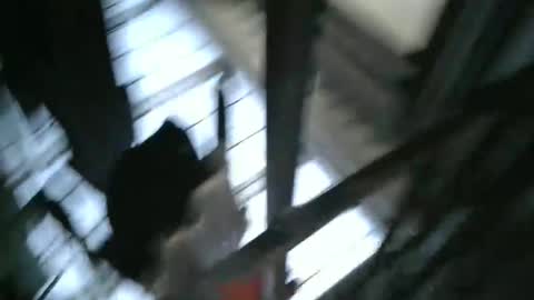 Snapshot of yourpersonalgeniusl chatting on December 15, 2024, 10:47 pm yourpersonalgeniusl online show from December 15, 2024, 10:47 pm