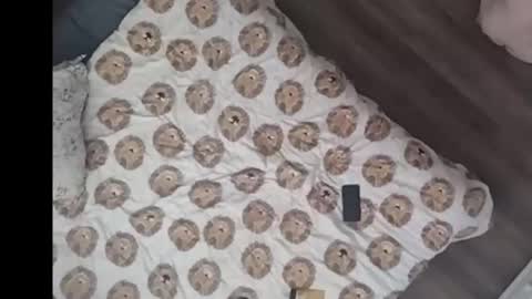 Dan online show from March 15, 2026, 3:07 pm