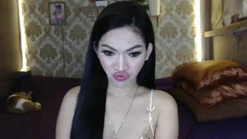 tin online show from February 4, 2025, 12:19 am