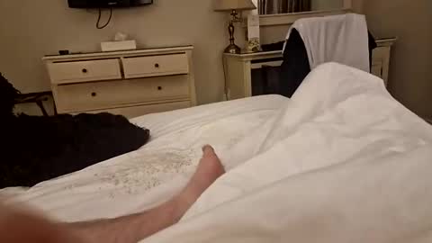 ytdecoy76 online show from November 8, 2025, 8:47 am