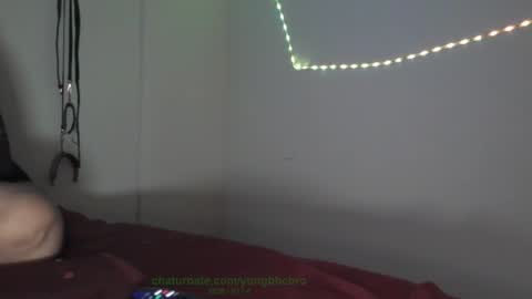 Octavian online show from February 4, 2026, 9:37 am