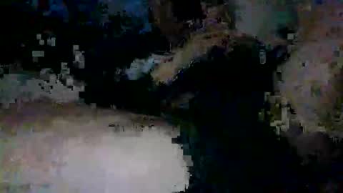 Snapshot of yungnympho25 chatting on May 29, 2026, 12:58 pm yungnympho25 online show from May 29, 2026, 12:58 pm