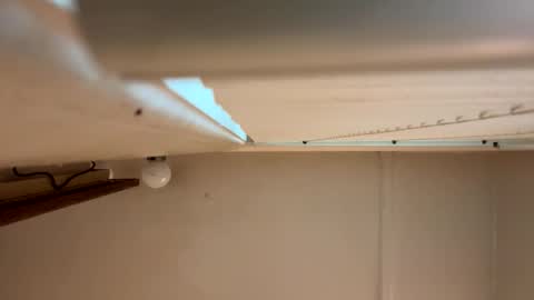 yungstudbev online show from March 1, 2026, 12:40 pm