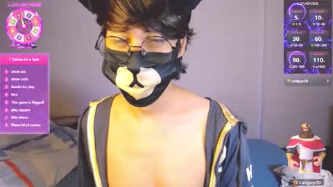 the puppy boy online show from March 7, 2026, 3:47 am