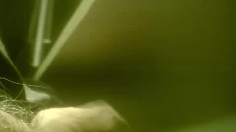 zaboski4 online show from March 7, 2026, 8:33 am