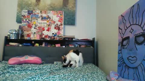 zaddyslilslutbucket online show from September 13, 2025, 10:20 pm