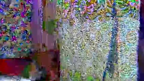 zarinamarlin online show from April 9, 2026, 7:03 am