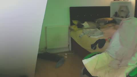 Zed online show from December 13, 2024, 1:44 pm