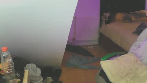 Zed online show from December 19, 2024, 5:18 pm