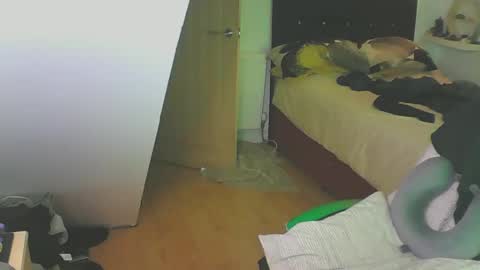 Zed online show from December 28, 2024, 4:09 pm