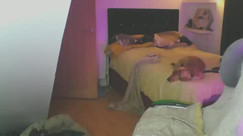 Zed online show from January 19, 2025, 6:10 pm