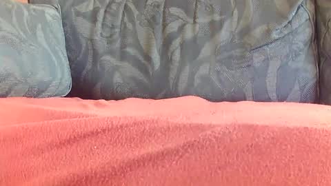 zevioo77 online show from January 3, 2025, 12:08 pm