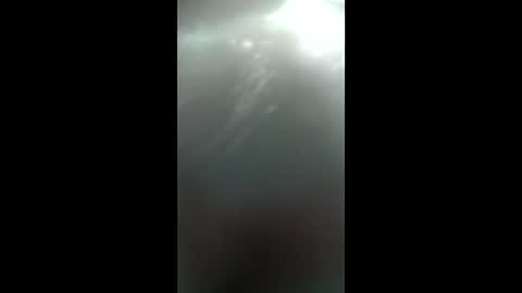 zigfoxkiuoid online show from April 5, 2026, 6:10 am