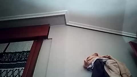 zigor13 online show from March 24, 2026, 6:57 pm