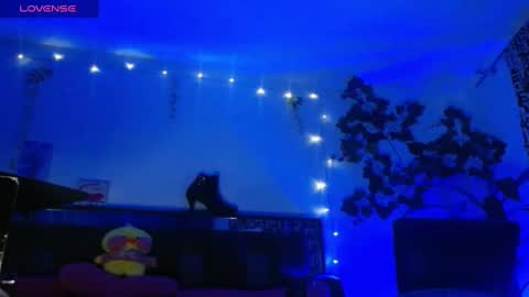 zoemi online show from January 16, 2025, 3:34 am