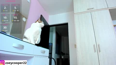 zoey  Independent model online show from November 15, 2025, 1:36 am