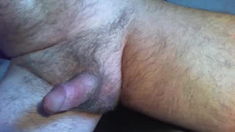 zokalo online show from February 13, 2026, 11:50 am