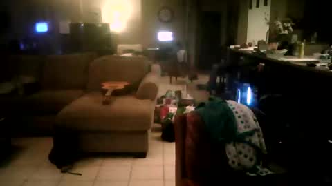 zooroxxx101 online show from April 22, 2026, 8:06 am