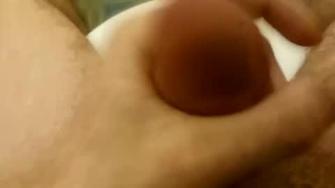 zqporn123 online show from April 12, 2026, 3:06 pm