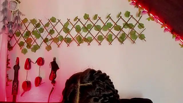 Cata green online show from December 11, 2024, 10:49 pm