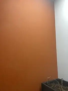 YesTheSexiest online show from November 11, 2025, 9:20 am