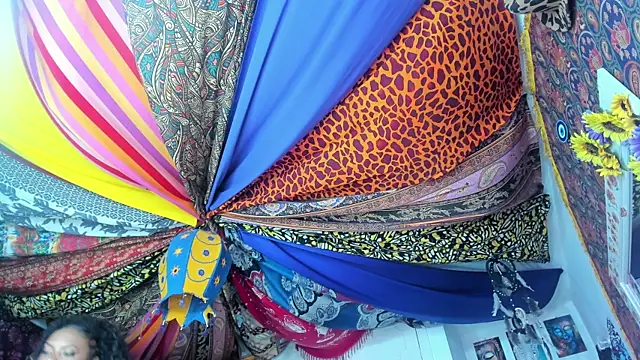 Snapshot of ElizaGrey_ chatting on January 19, 2025, 10:17 am ElizaGrey online show from January 19, 2025, 10:17 am