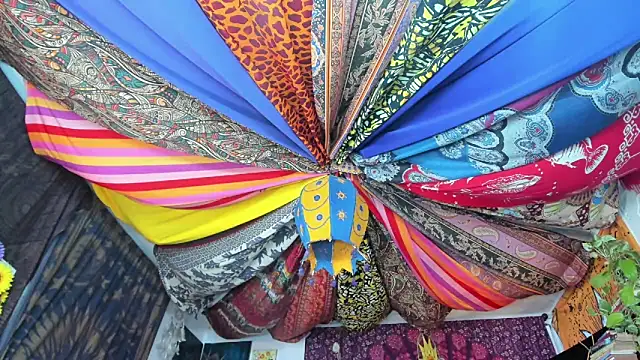 Snapshot of ElizaGrey_ chatting on February 23, 2025, 3:40 pm ElizaGrey online show from February 23, 2025, 3:40 pm