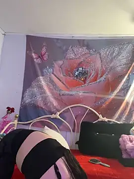 DominiqueX0 online show from February 20, 2026, 9:04 pm