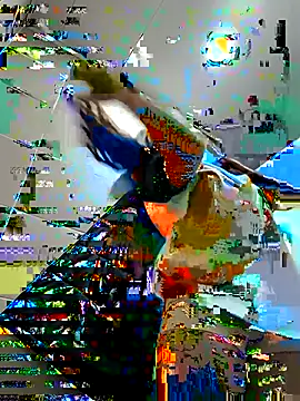 Sam Sara online show from February 16, 2025, 5:37 pm