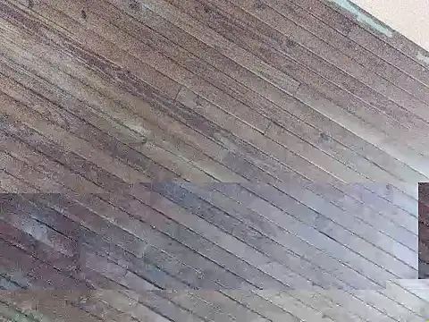 Argentinoflaco online show from September 26, 2025, 2:10 pm