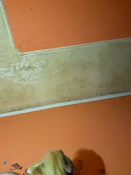 Snapshot of ducicsajsziii chatting on December 9, 2024, 11:03 pm ducicsajsziii online show from December 9, 2024, 11:03 pm