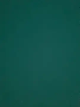 Snapshot of Ruby_bear chatting on March 8, 2025, 8:55 am Ruby bear online show from March 8, 2025, 8:55 am