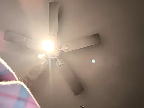 Snapshot of fransexdol chatting on February 26, 2025, 10:20 pm fransexdol online show from February 26, 2025, 10:20 pm