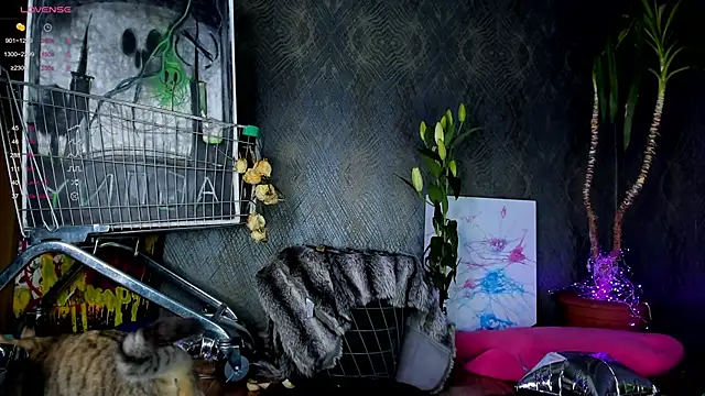 little grinch666 online show from January 30, 2025, 7:59 pm