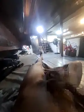 Jhon22z online show from February 23, 2026, 4:37 pm