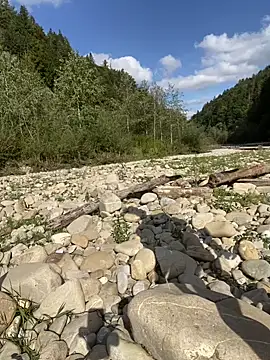 artXhibitor online show from September 29, 2025, 1:16 pm