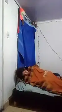 Cameron puppy online show from March 11, 2025, 6:53 am