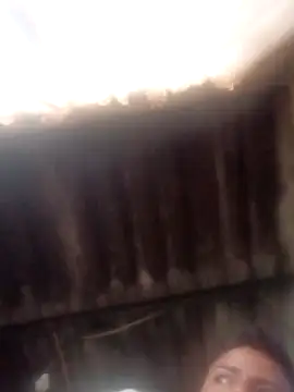 dantero online show from January 14, 2025, 3:36 pm