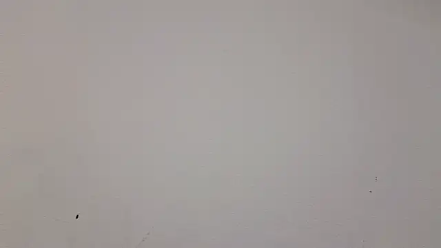   Nina online show from February 19, 2025, 1:06 pm