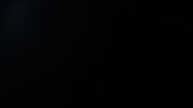 sara winehouse1 online show from January 4, 2025, 1:31 pm