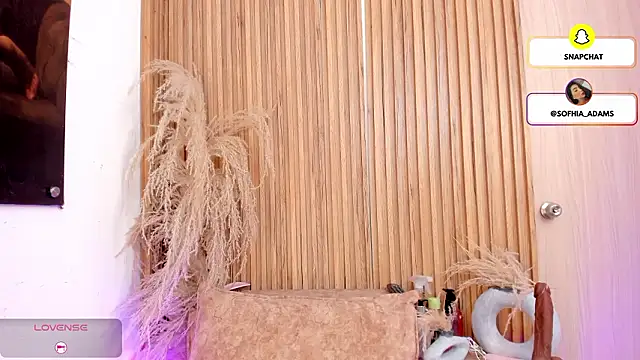 sofhiaa adaams online show from February 27, 2026, 10:43 pm