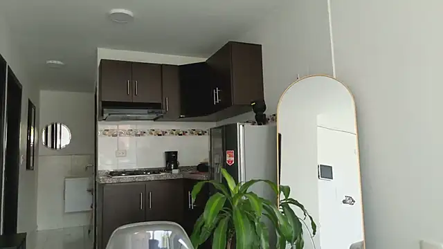 grey   27 online show from March 10, 2025, 2:48 pm