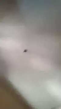 gala2 online show from March 5, 2025, 6:01 pm