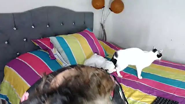 Chantal hott online show from October 18, 2025, 11:16 pm