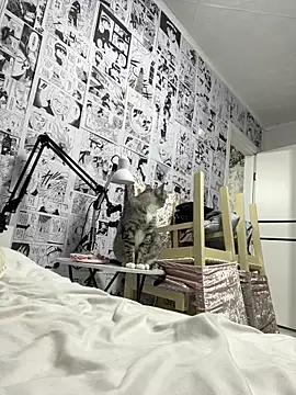 Minami 686 online show from December 9, 2024, 12:40 pm