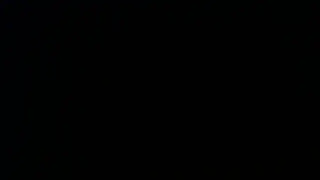 Sophia your online show from April 9, 2026, 12:10 pm