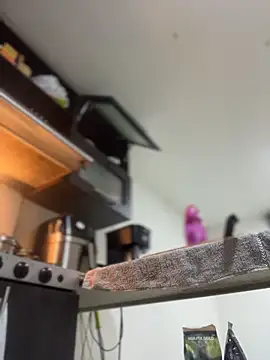 Snapshot of JulianaCastillo chatting on April 2, 2026, 9:18 am JulianaCastillo online show from April 2, 2026, 9:18 am